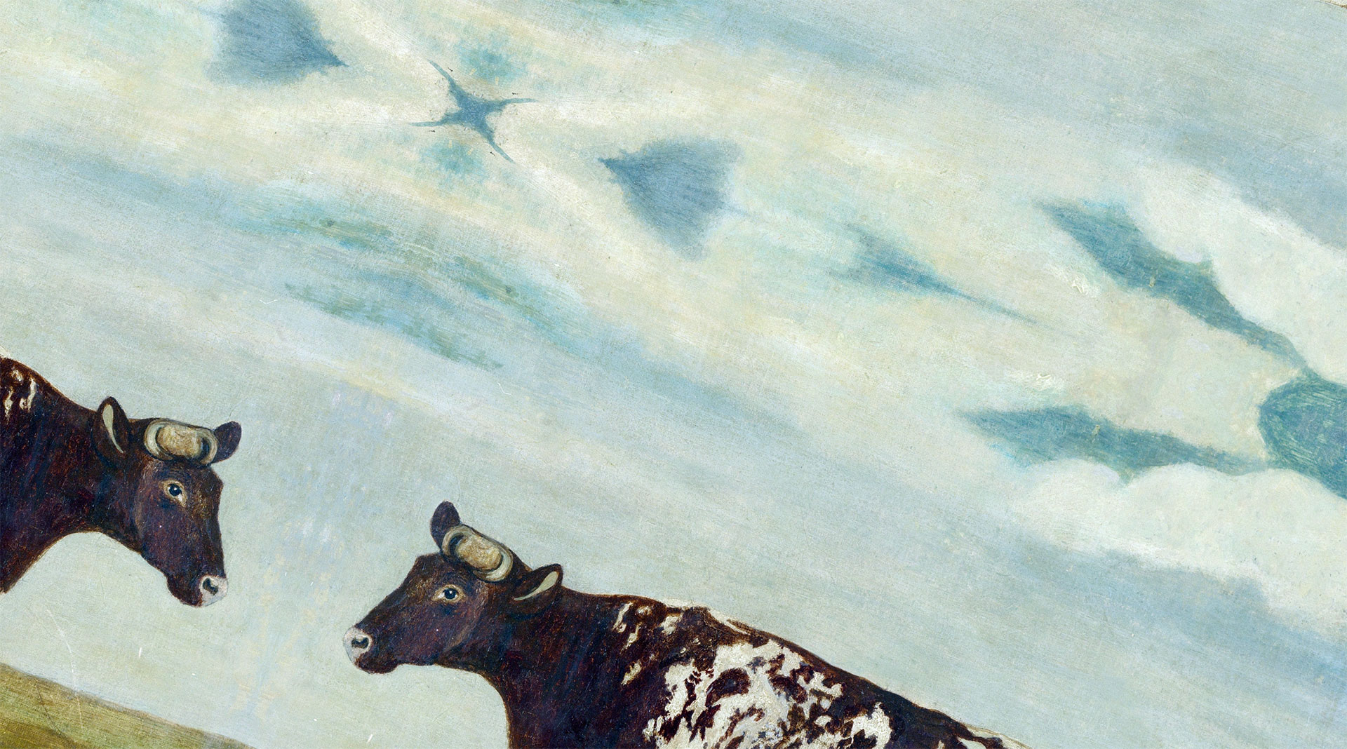 COW TABLE TARP
